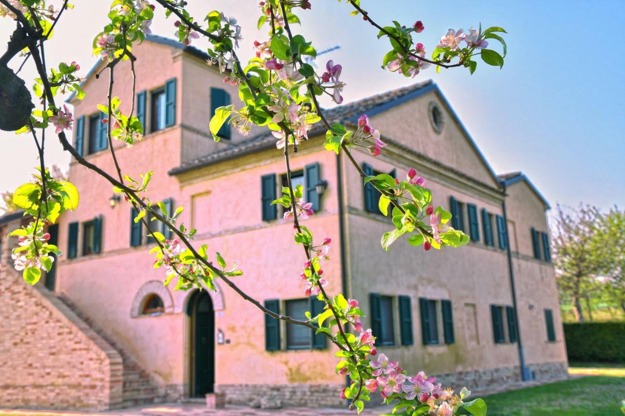 I Ciliegi Bed and Breakfast Osimo Εξωτερικό φωτογραφία